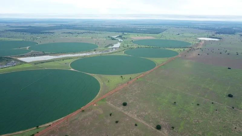 Fazenda em Jussara/Goiás — Ref MVAMVO — Imagem 3