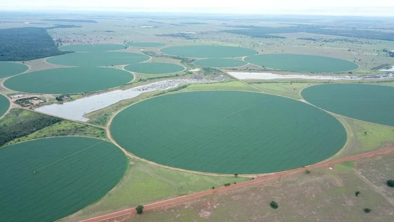 Fazenda em Jussara/Goiás — Ref MVAMVO — Imagem 5