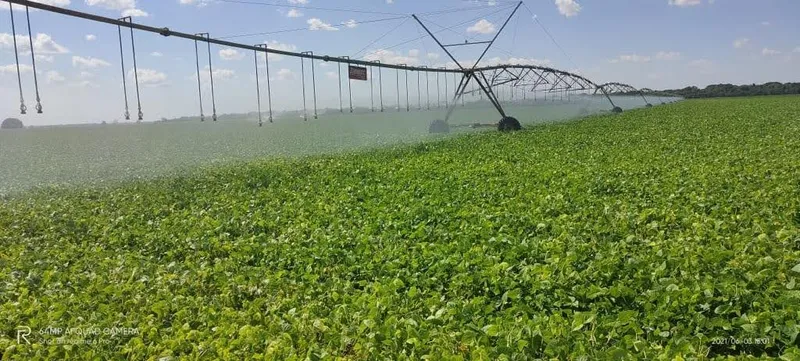 Fazenda em Jussara/Goiás — Ref MVAMVO — Imagem 6