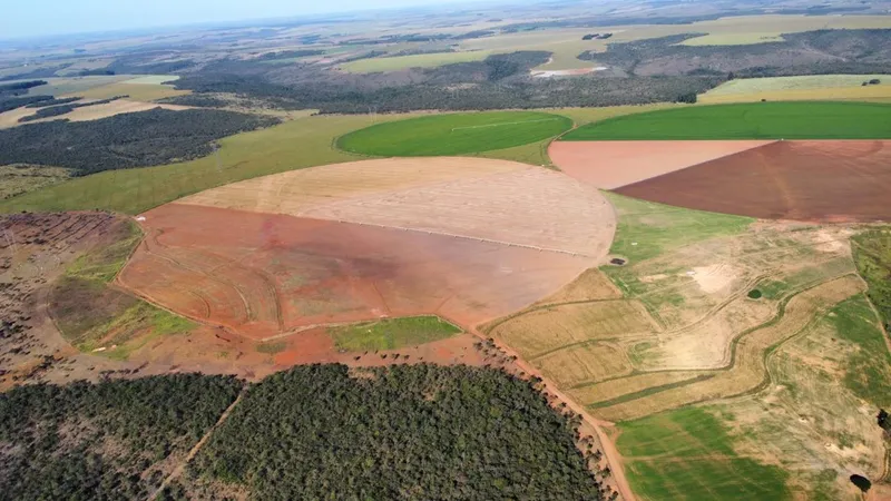 Fazenda em Jussara/Goiás — Ref MVAMVO — Imagem 11