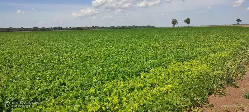 Fazenda em Jussara/Goiás — Ref MVAMVO — Imagem 13
