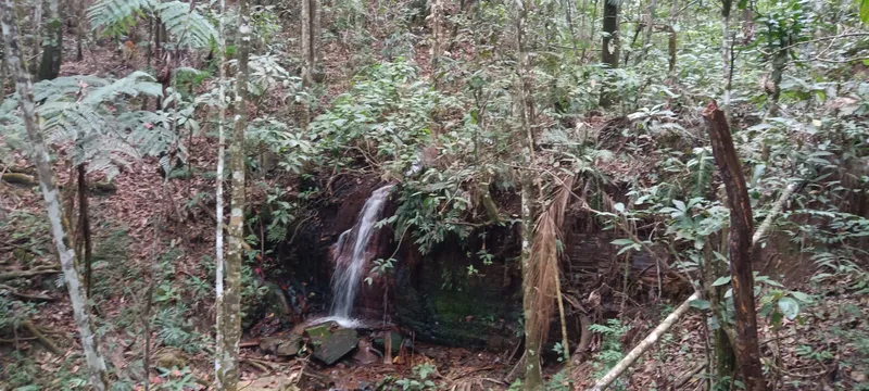 Chácara em Abadiânia/Goiás — Ref BJZWN5 — Imagem 5