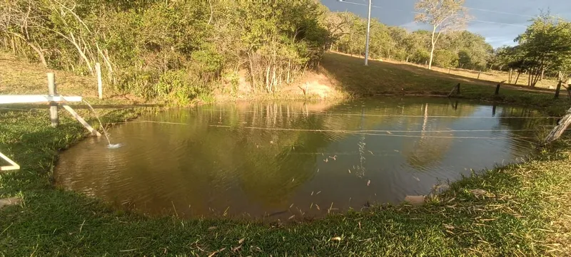 Chácara em Abadiânia/Goiás — Ref BJZWN5 — Imagem 7