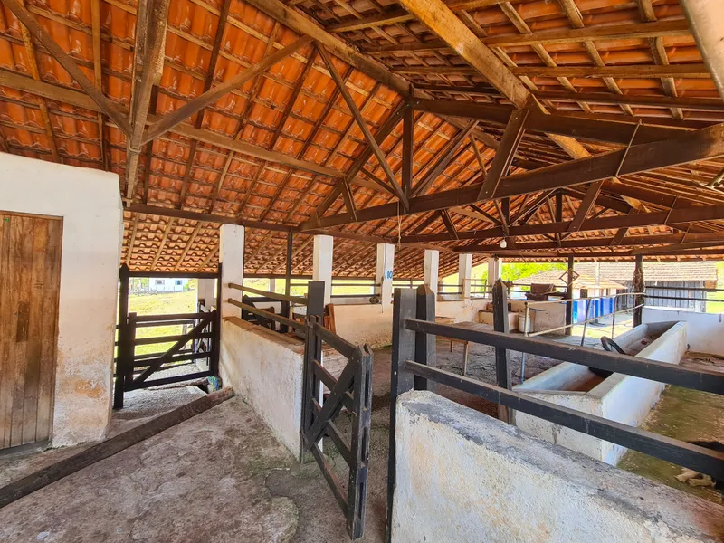 Fazenda em Camanducaia/Minas Gerais — Ref MK1XUM — Imagem 11