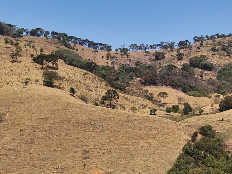 Fazenda em Camanducaia/Minas Gerais — Ref MK1XUM — Imagem 15