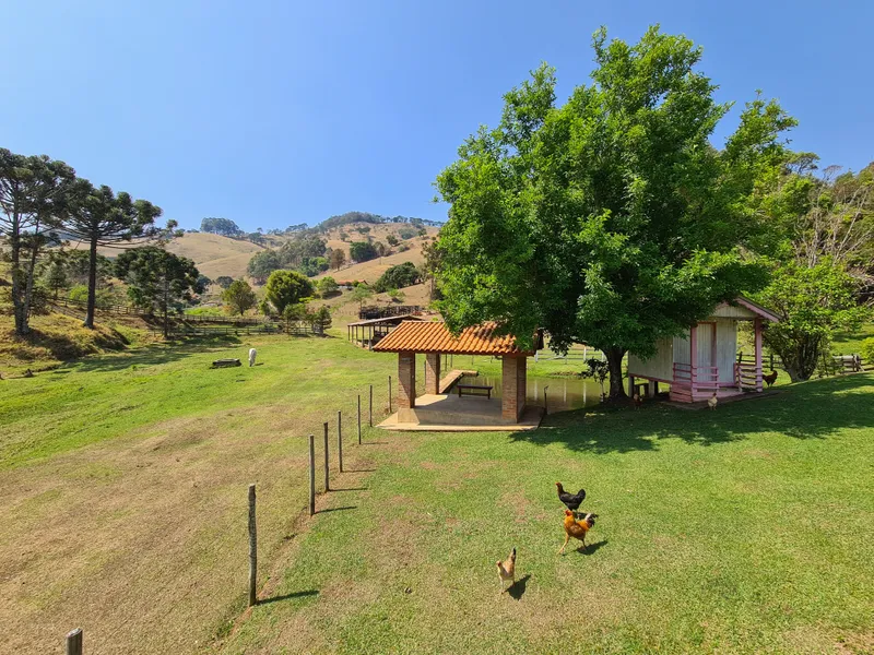 Fazenda em Camanducaia/Minas Gerais — Ref MK1XUM — Imagem 48