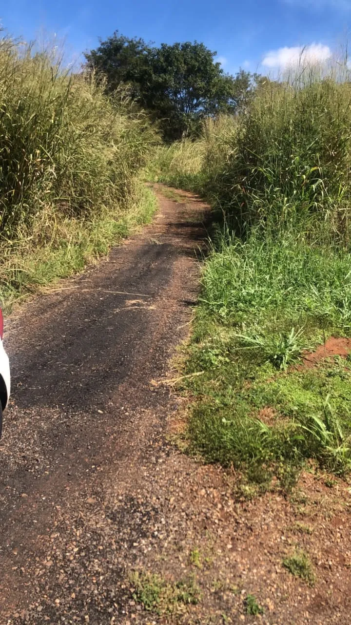 Chácara em Pirenópolis/Goiás — Ref EZKA02 — Imagem 2