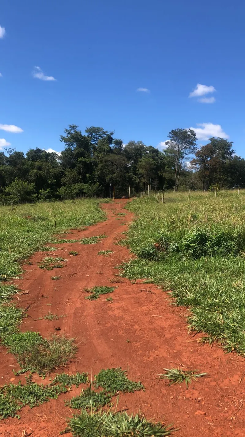 Chácara em Pirenópolis/Goiás — Ref EZKA02 — Imagem 4