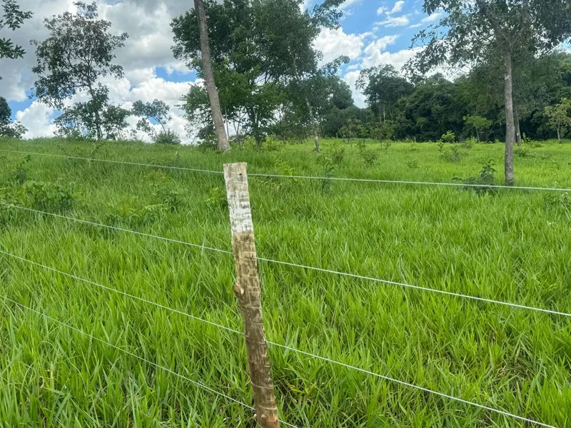 Chácara em Abadiânia/Goiás — Ref YXSLMF — Imagem 2