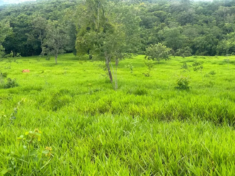 Chácara em Abadiânia/Goiás — Ref YXSLMF — Imagem 3