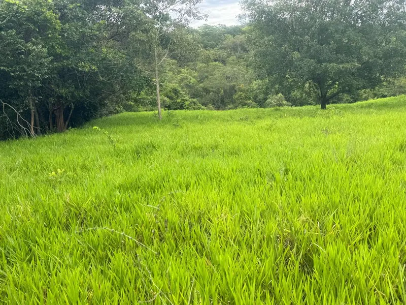 Chácara em Abadiânia/Goiás — Ref YXSLMF — Imagem 4