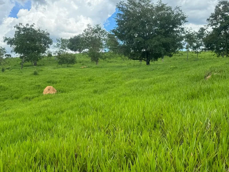 Chácara em Abadiânia/Goiás — Ref YXSLMF — Imagem 5