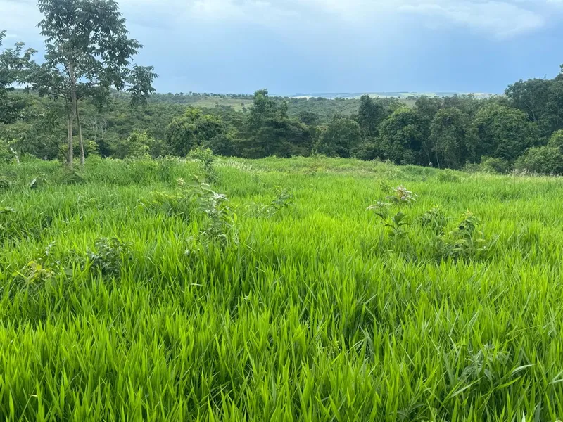 Chácara em Abadiânia/Goiás — Ref YXSLMF — Imagem 7