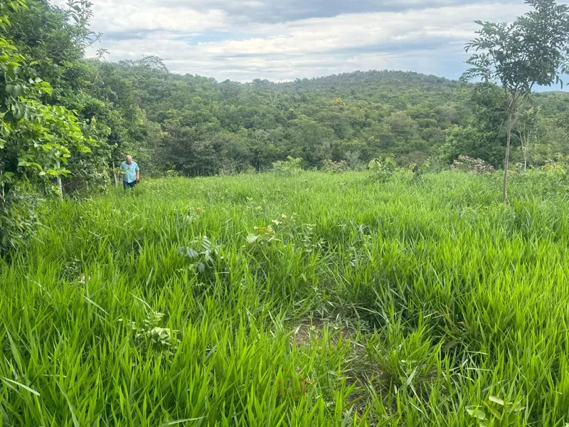 Chácara em Abadiânia/Goiás — Ref YXSLMF — Imagem 8