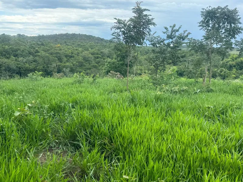 Chácara em Abadiânia/Goiás — Ref YXSLMF — Imagem 9