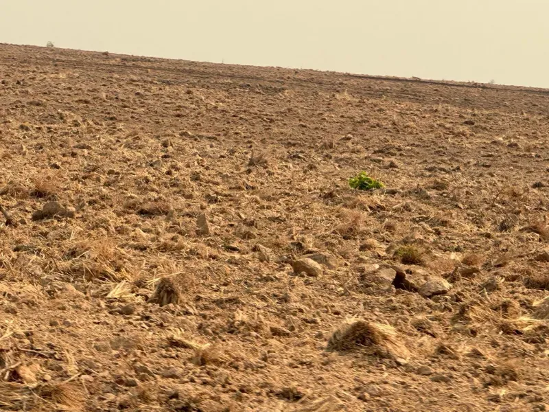 Fazenda em Alto Boa Vista/Mato Grosso — Ref 5V3KMY — Imagem 7