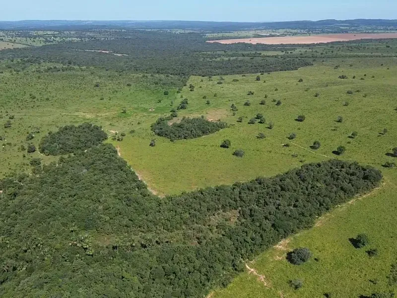 Fazenda em Pontal do Araguaia/Mato Grosso — Ref DJ7B55 — Imagem 10