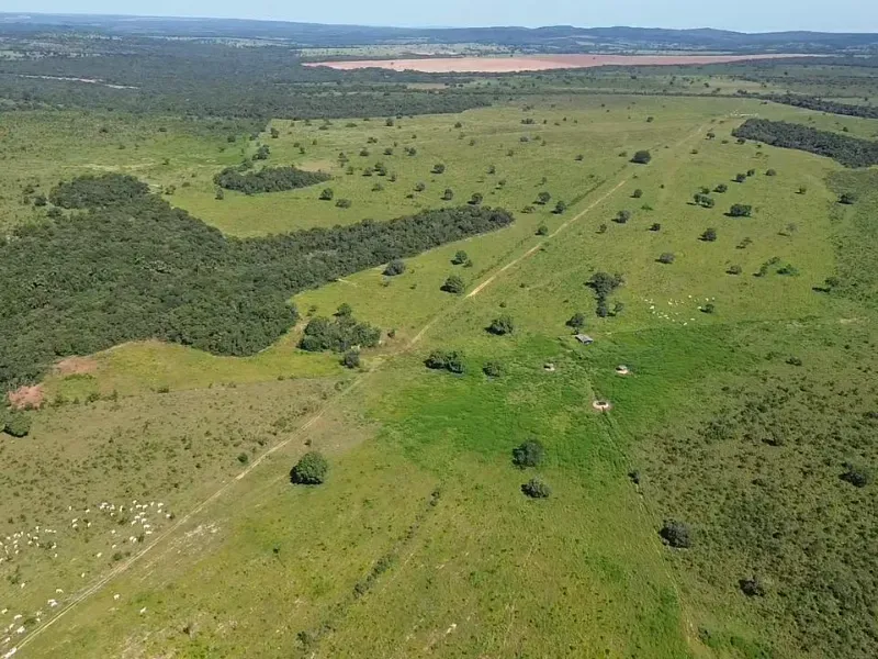 Fazenda em Pontal do Araguaia/Mato Grosso — Ref DJ7B55 — Imagem 12