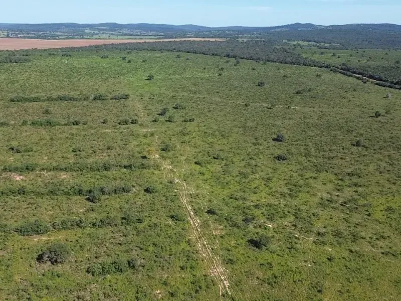 Fazenda em Pontal do Araguaia/Mato Grosso — Ref DJ7B55 — Imagem 21