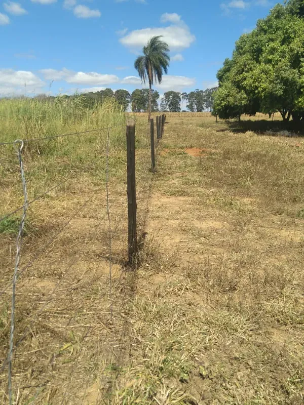 Fazenda em Brasília/Distrito Federal — Ref V9RHFK — Imagem 2