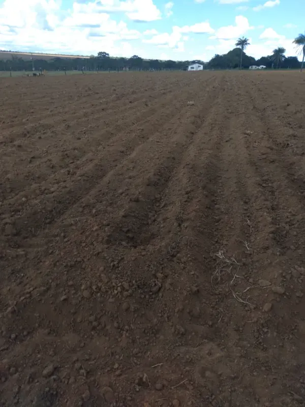 Fazenda em Brasília/Distrito Federal — Ref V9RHFK — Imagem 3