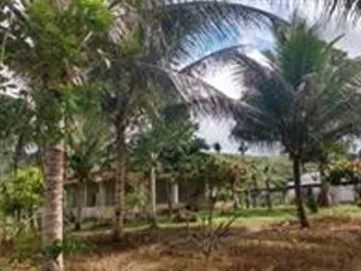 Sítio em Itabuna/Bahia — Ref 9L70KS — Imagem 3