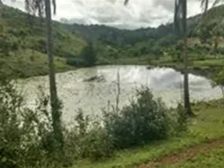 Sítio em Itabuna/Bahia — Ref 9L70KS — Imagem 4