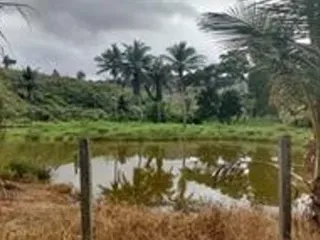 Sítio em Itabuna/Bahia — Ref 9L70KS — Imagem 5