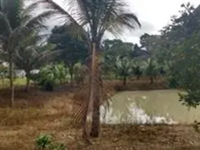 Sítio em Itabuna/Bahia — Ref 9L70KS — Imagem 6