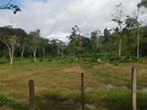 Sítio em Itabuna/Bahia — Ref 9L70KS — Imagem 7