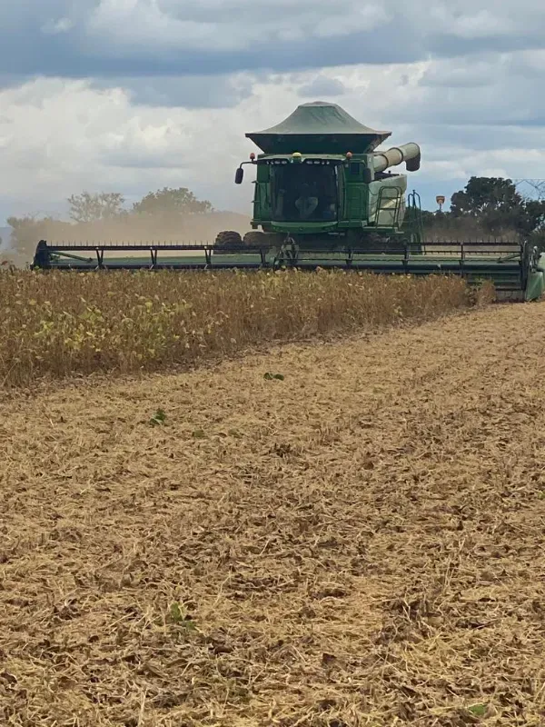 Fazenda em Niquelândia/Goiás — Ref B498A1 — Imagem 7