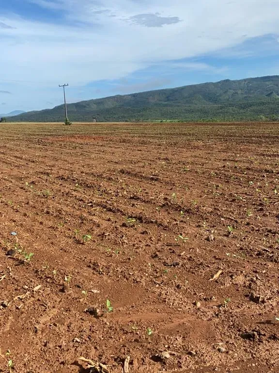 Fazenda em Niquelândia/Goiás — Ref B498A1 — Imagem 9