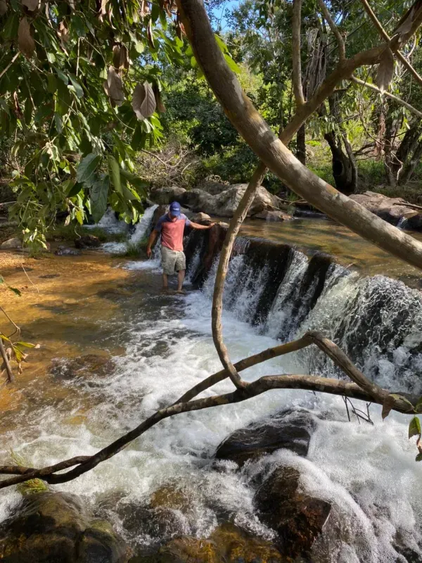 Fazenda em Niquelândia/Goiás — Ref B498A1 — Imagem 11