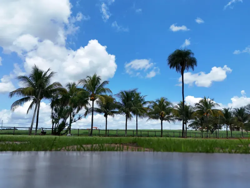 Fazenda em Formosa/Goiás — Ref GH237M — Imagem 3