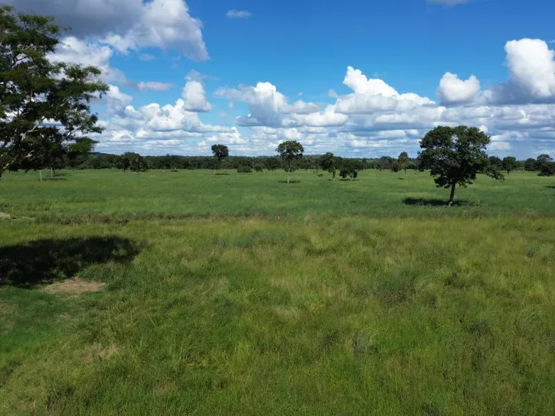 Fazenda em Formosa/Goiás — Ref GH237M — Imagem 2