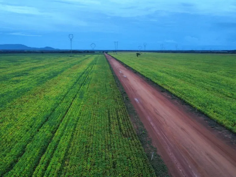 Fazenda em Santa Rita do Tocantins/Tocantins — Ref PV6AH6 — Imagem 2