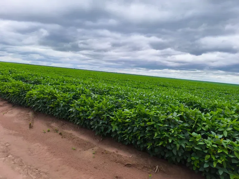 Fazenda em Santa Rita do Tocantins/Tocantins — Ref PV6AH6 — Imagem 3