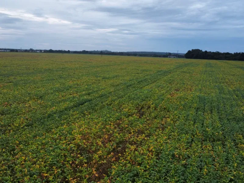 Fazenda em Santa Rita do Tocantins/Tocantins — Ref PV6AH6 — Imagem 4