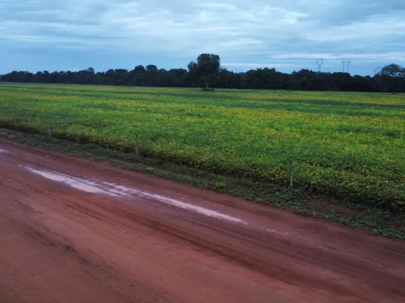 Fazenda em Santa Rita do Tocantins/Tocantins — Ref PV6AH6 — Imagem 5