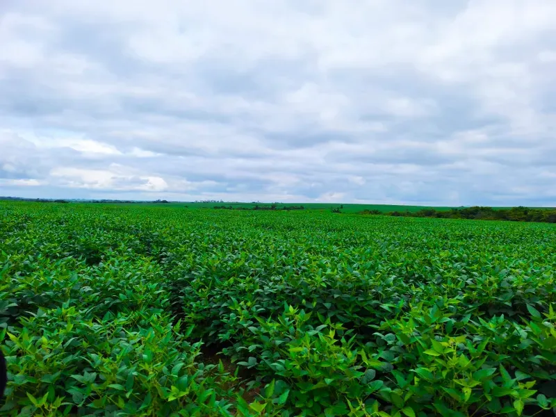 Fazenda em Santa Rita do Tocantins/Tocantins — Ref PV6AH6 — Imagem 6