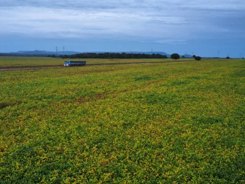 Fazenda em Santa Rita do Tocantins/Tocantins — Ref PV6AH6 — Imagem 7