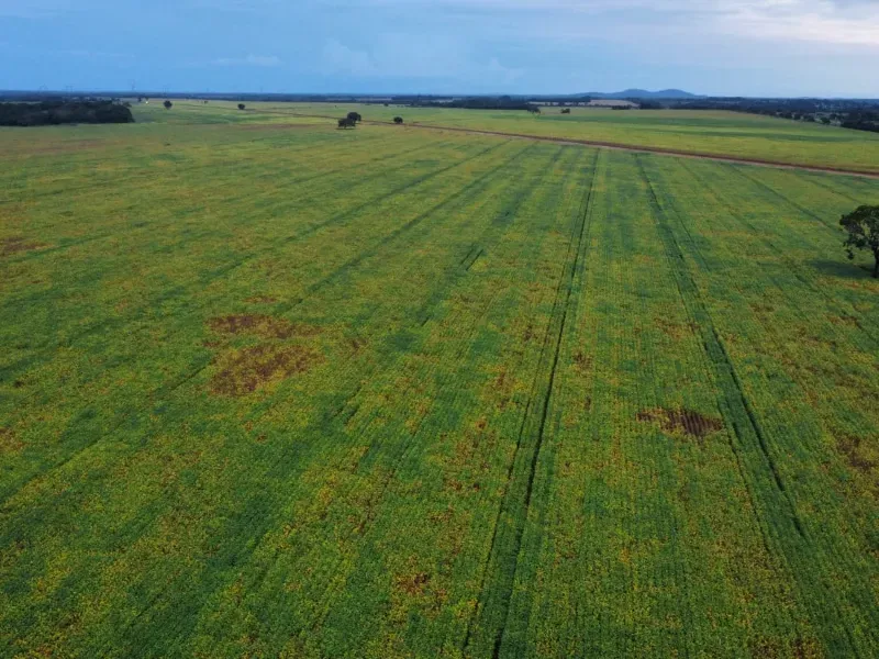 Fazenda em Santa Rita do Tocantins/Tocantins — Ref PV6AH6 — Imagem 8