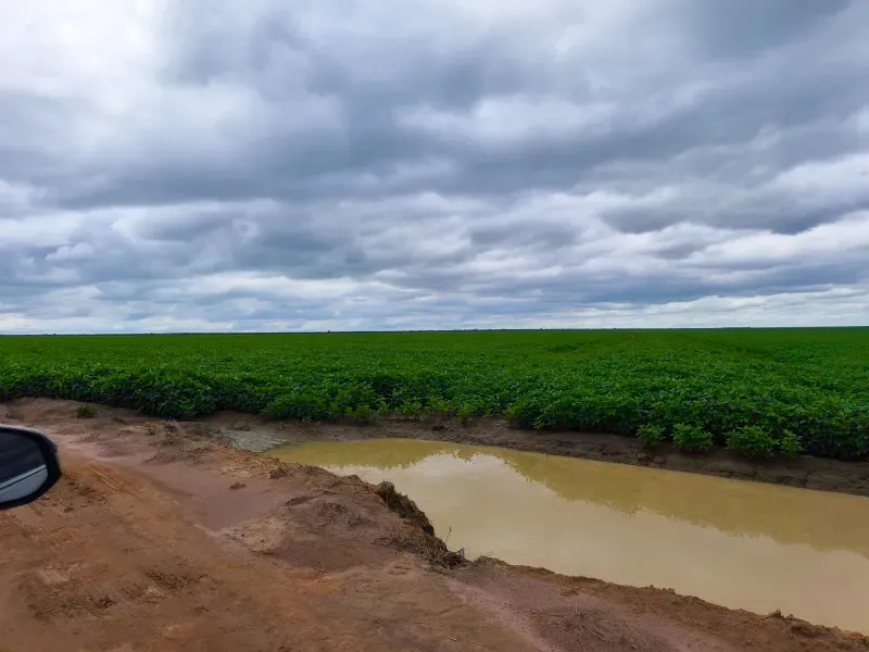 Fazenda em Santa Rita do Tocantins/Tocantins — Ref PV6AH6 — Imagem 10