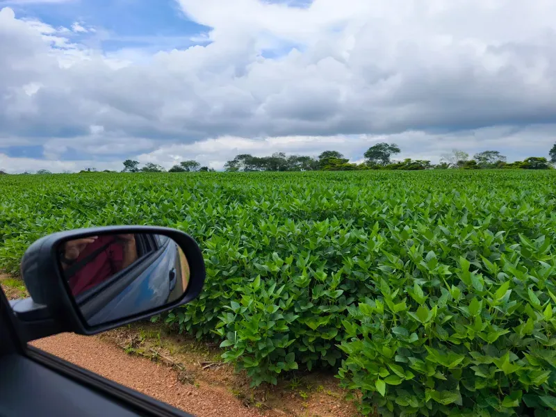Fazenda em Santa Rita do Tocantins/Tocantins — Ref PV6AH6 — Imagem 13
