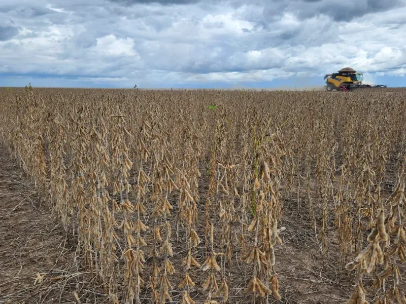 Fazenda em Uruçuí/Piauí — Ref 0SFAVW — Imagem 6