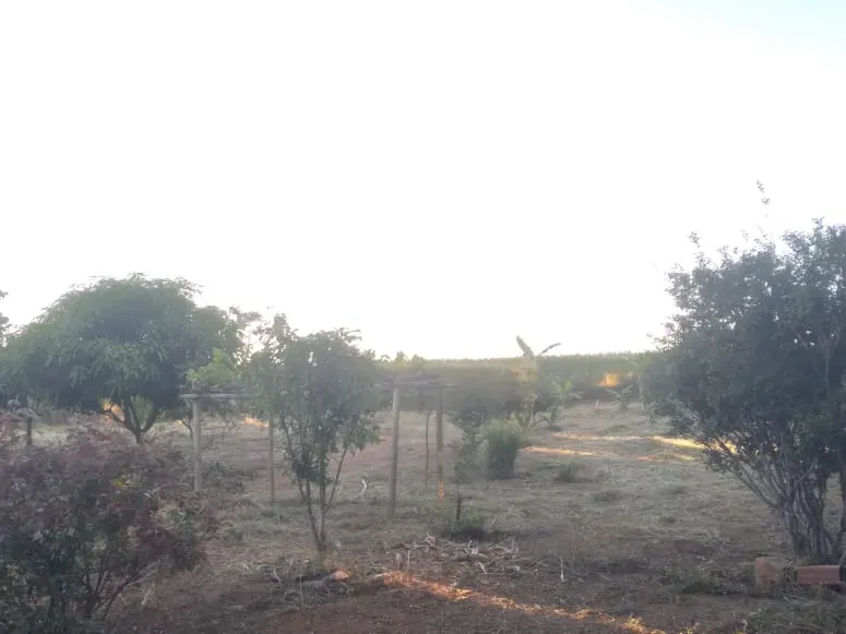 Chácara em Gameleira de Goiás/Goiás — Ref 99Y7GC — Imagem 5