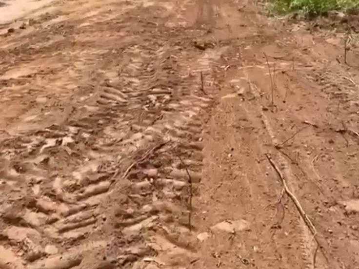 Fazenda em Barão de Grajaú/Maranhão — Ref YP2SFG — Imagem 4