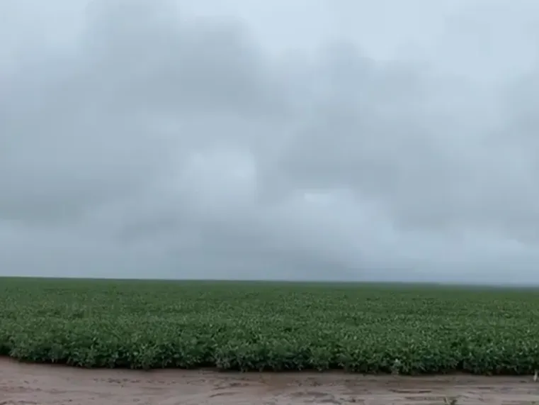 Fazenda em Balsas/Maranhão — Ref 8G59W3 — Imagem 2