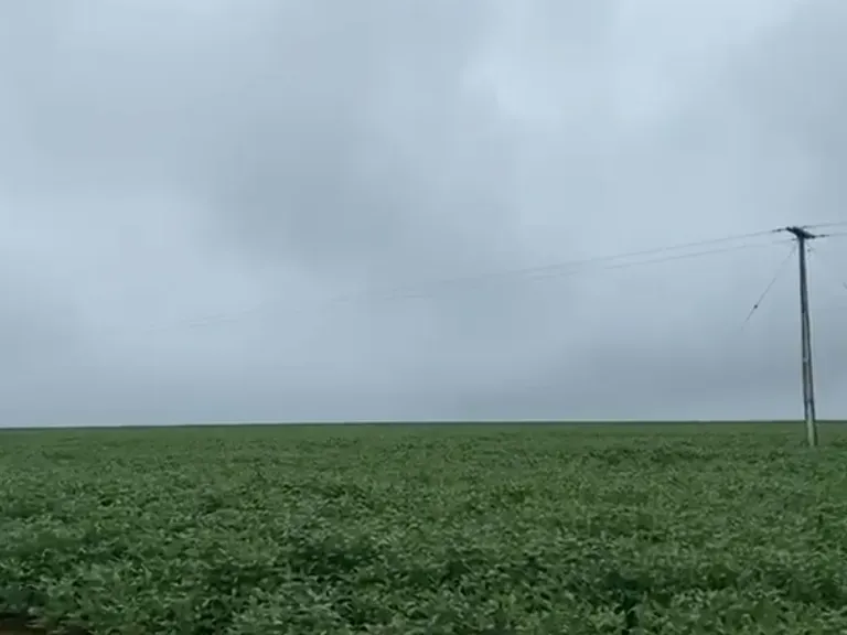 Fazenda em Balsas/Maranhão — Ref 8G59W3 — Imagem 4