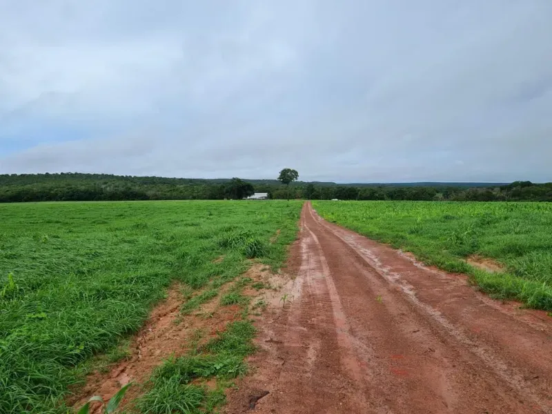 Fazenda em Barra do Garças/Mato Grosso — Ref BPBRFM — Imagem 3